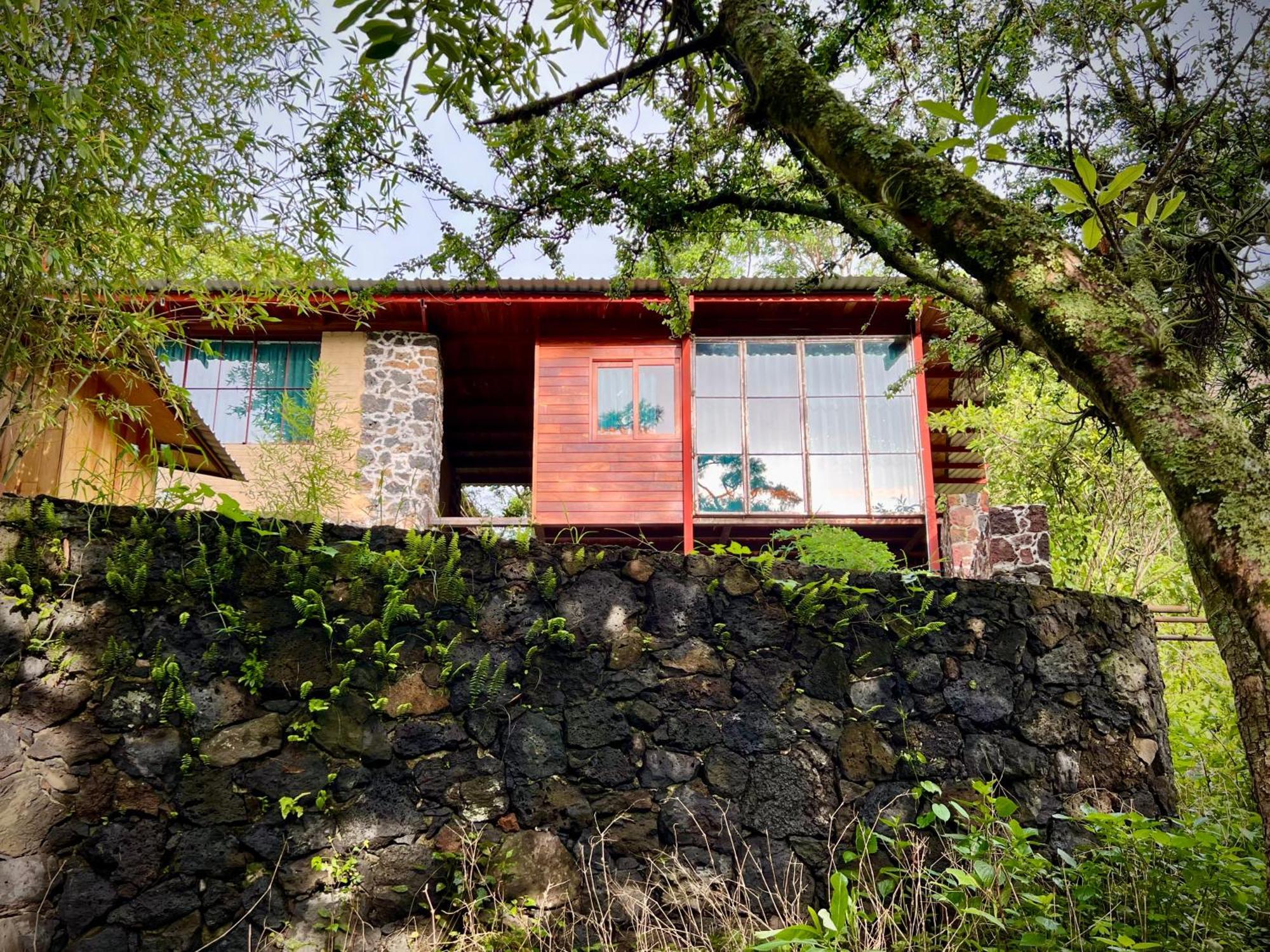 Santuario Ave Fenix Guest House Tepoztlán Cameră foto